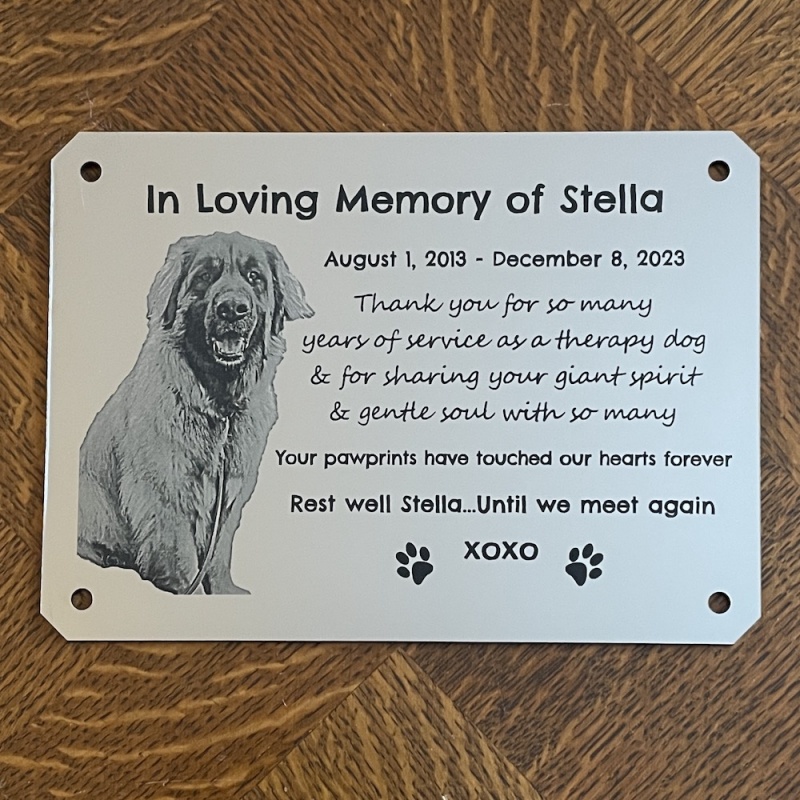 Memorial plaque in remembrance Dog Cat Pet plaque with photograph personalised custom size memorial plaques 18 x 13 cm 7 x 5.11 inch various colours